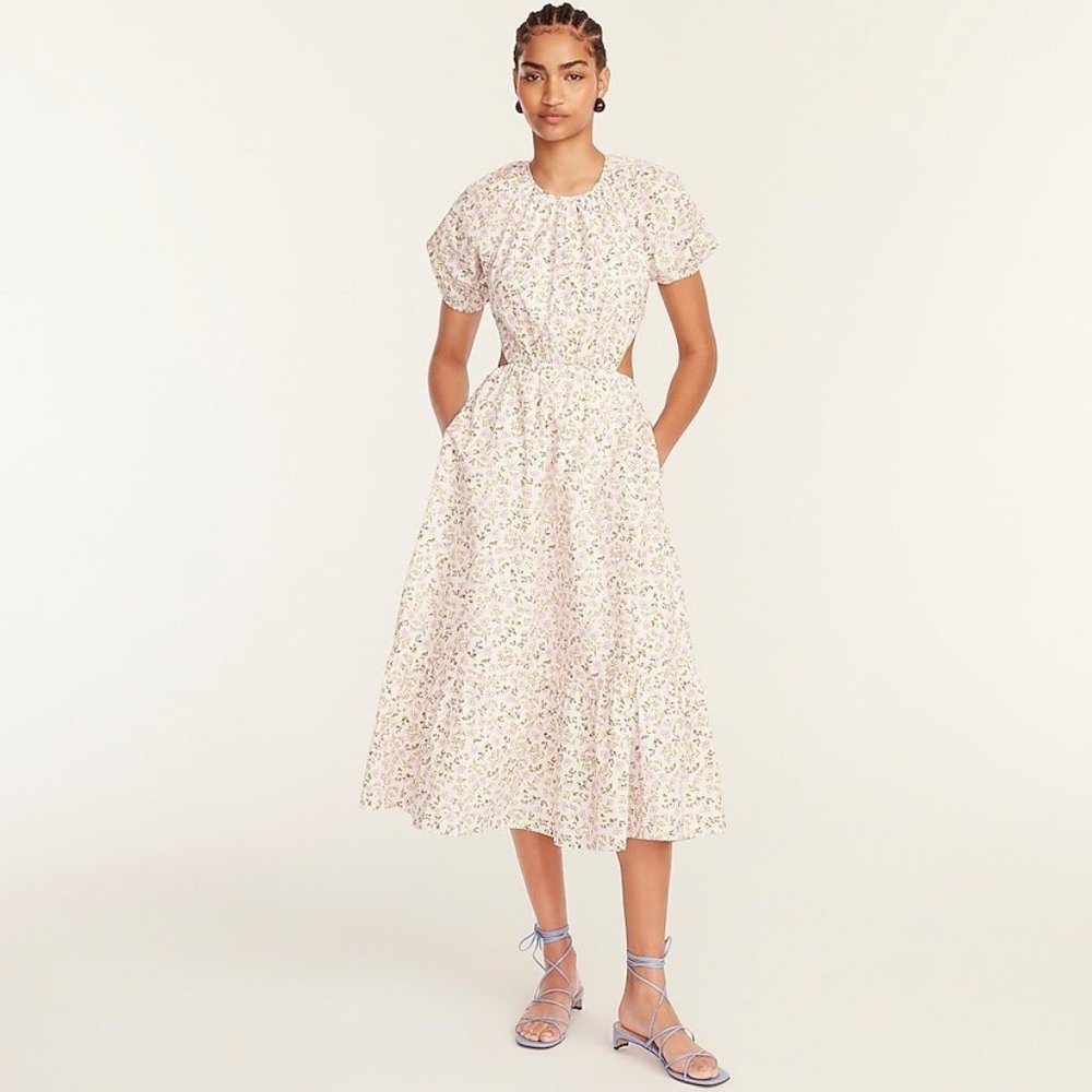 NWT Side-cutout cotton poplin dress in meadow floral